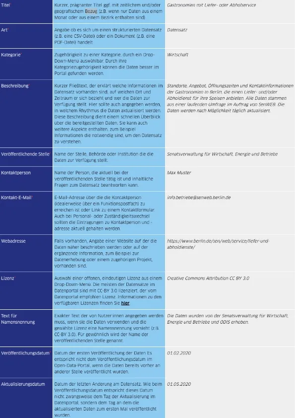 Media thumbnail preview of "Metadaten-Leitfaden"